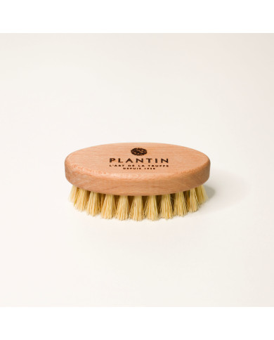 Brosse à truffes - Plantin