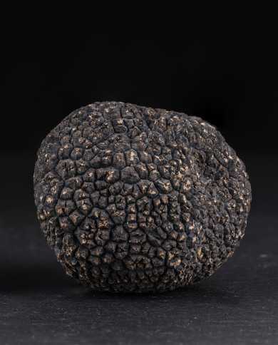 Fresh whole black Australian truffles