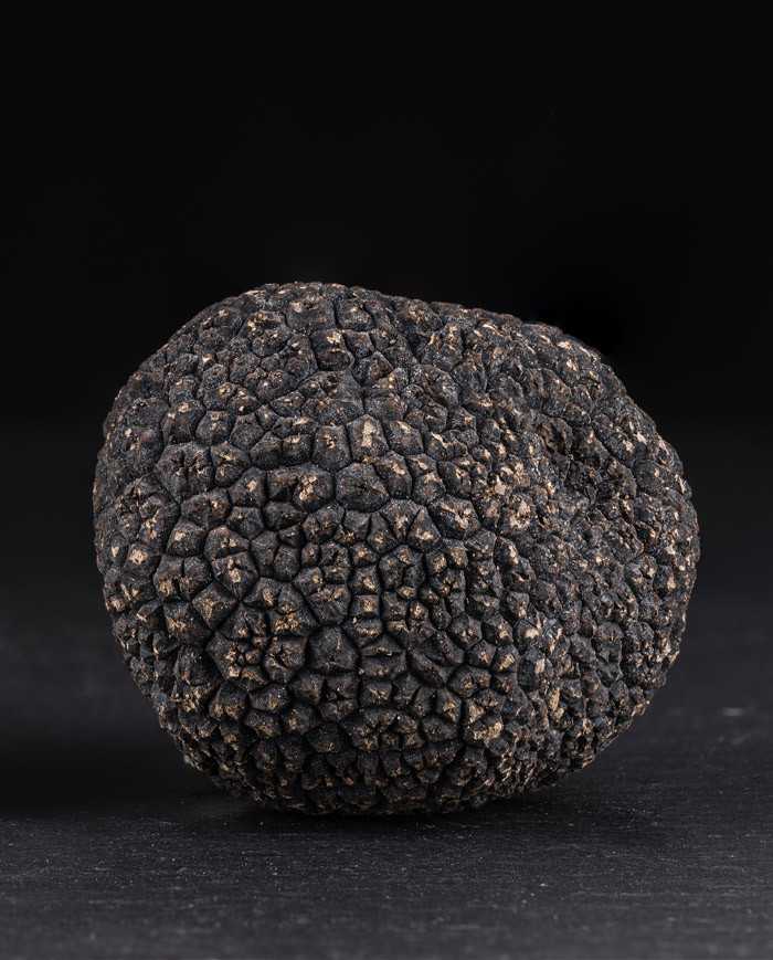 Truffes noires d'Australie entières, fraîches