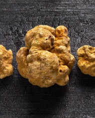 Truffe blanche d'Alba fraîche 15g |  PLANTIN - L'art de la truffe