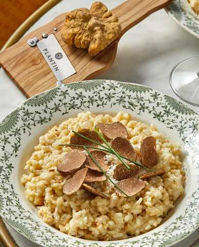 Truffe blanche d'Alba fraîche 15g |  PLANTIN - L'art de la truffe