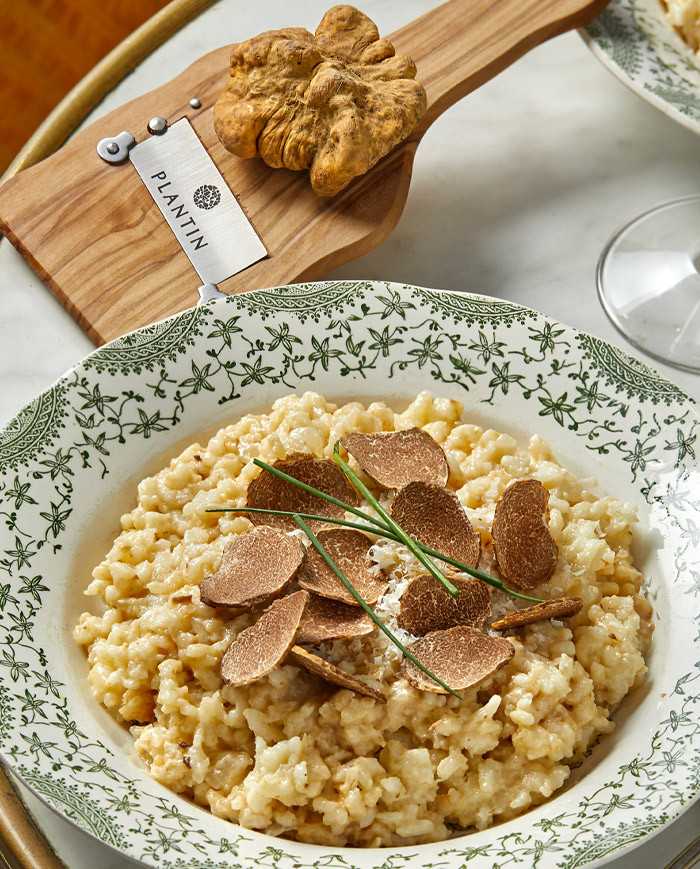 Truffe blanche d'Alba fraîche 15g |  PLANTIN - L'art de la truffe
