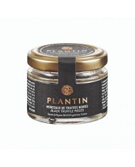 Vente en ligne de morceaux de Truffes noires en conserve (Tuber melasnosporum) sur la boutique PLANTIN, spécialiste de la truffe
