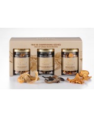 Trio of dried mushrooms