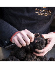 Morceaux de truffes noires fraîches 50g   |  PLANTIN