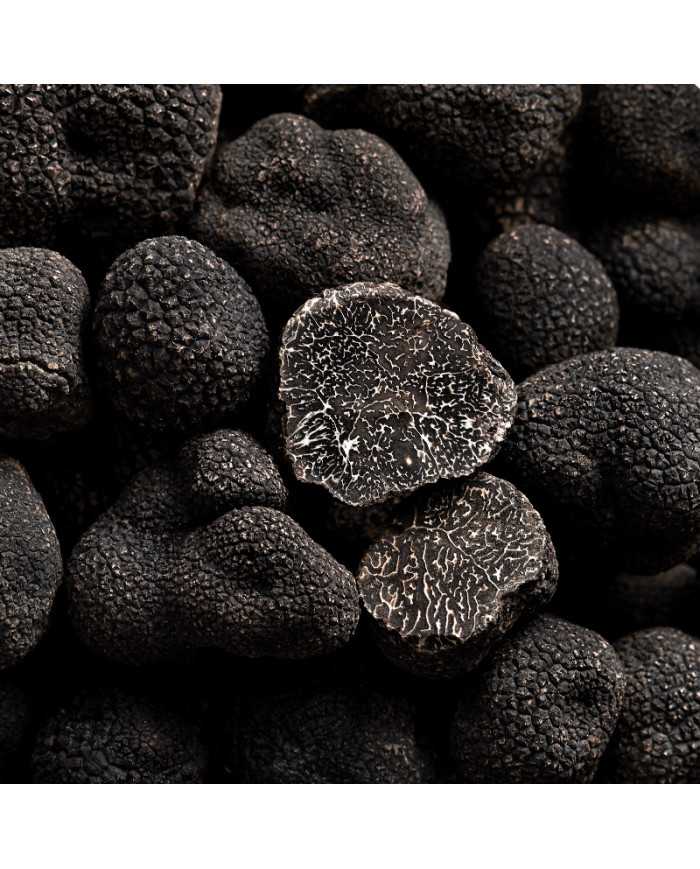 Morceaux de truffes noires fraîches 50g   |  PLANTIN