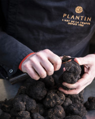 Périgord black truffle
