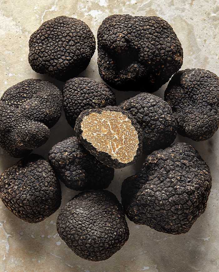 Truffe d'été fraîche |  PLANTIN  - L'art de la truffe