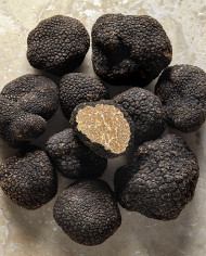 Truffe d'été fraîche |  PLANTIN  - L'art de la truffe