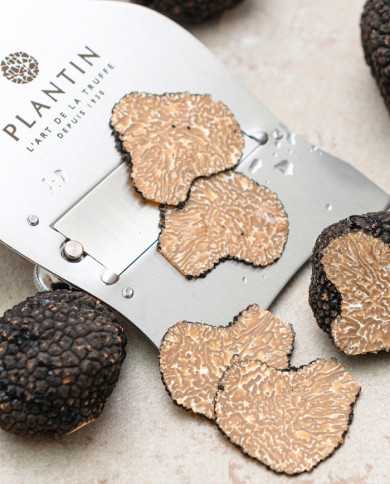 Truffe d'été fraîche 100g |  PLANTIN  - L'art de la truffe