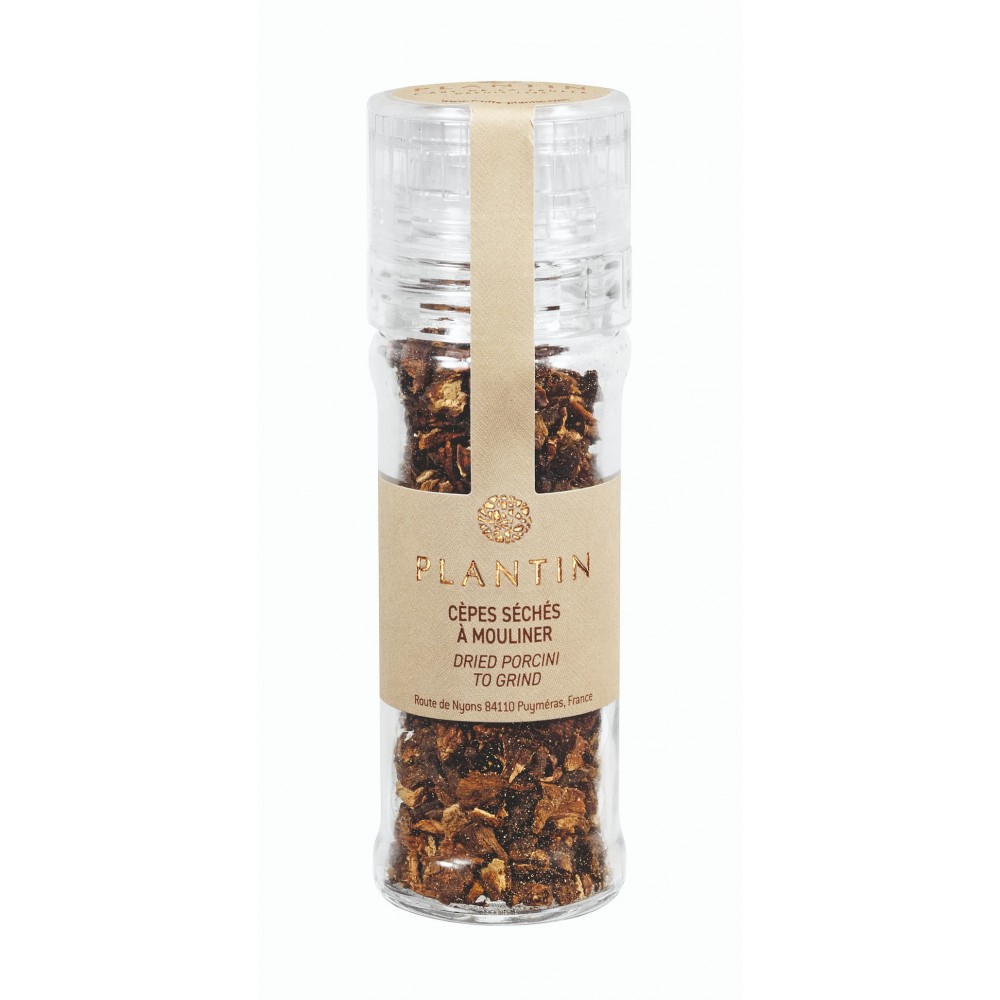 Dried porcini mill