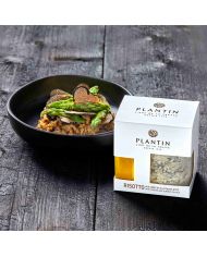 Risotto with porcini and summer truffles