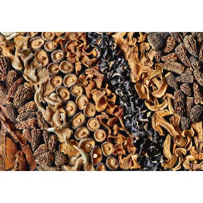 Getrocknete Waldmischung - 500 g