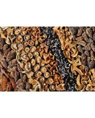 Mélange forestier séché - 500g