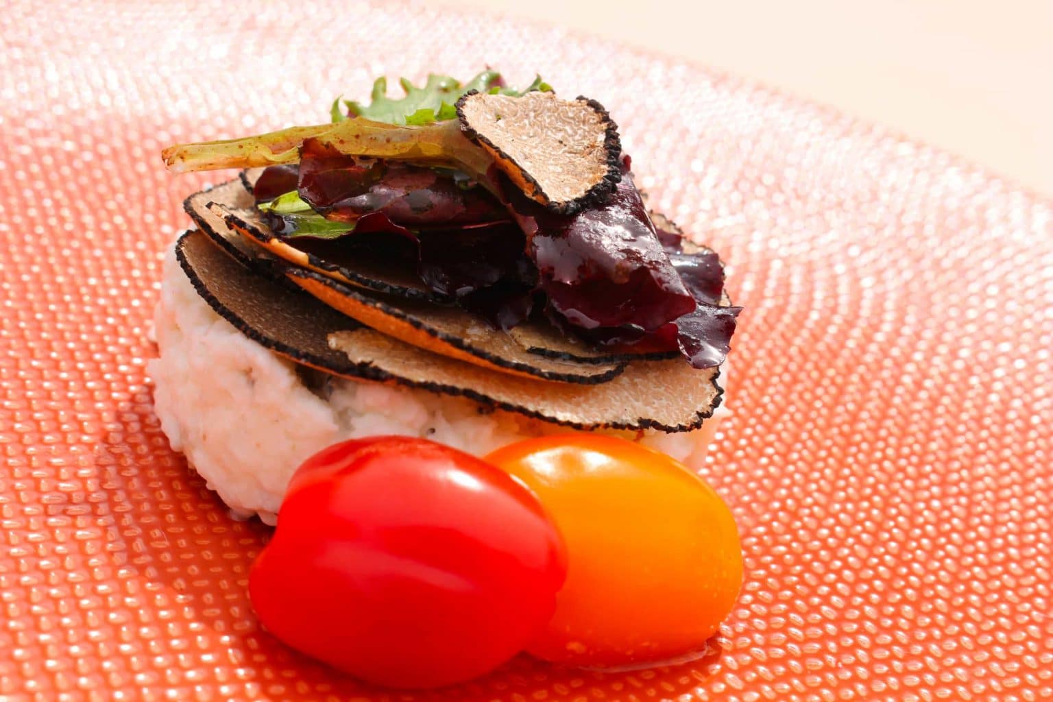 recette tartelette burrata truffe