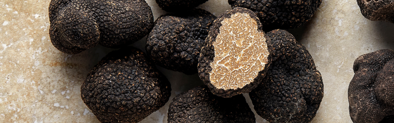 Truffe d'été Slide background
