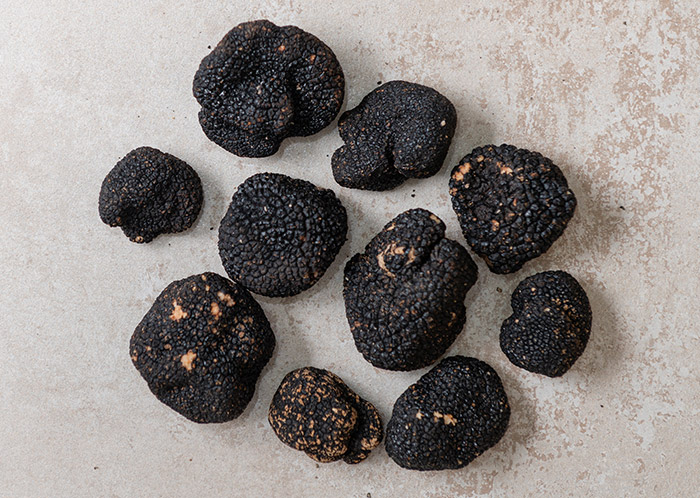 truffes blanches d'été plantin