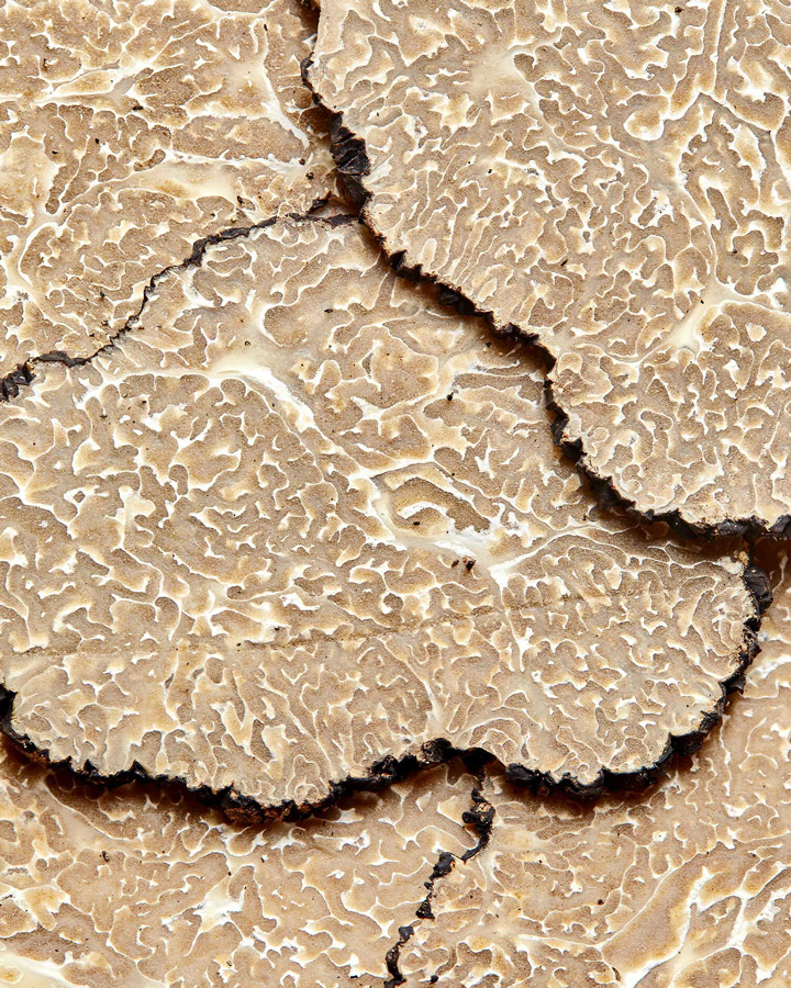 Truffe blanche