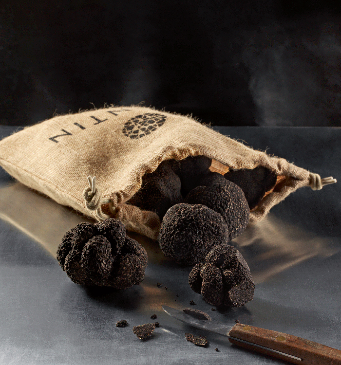 Conservation de la truffe