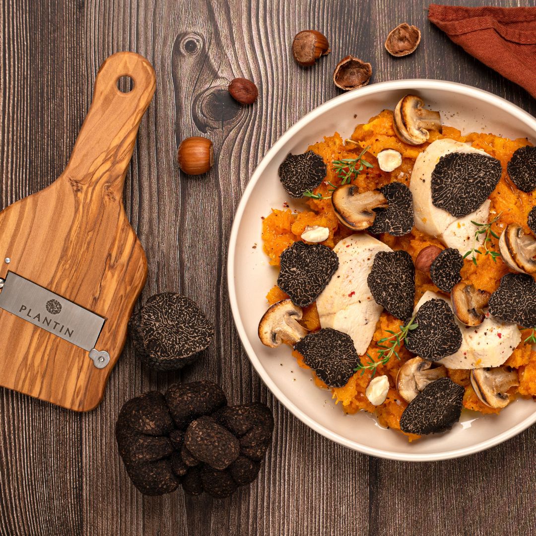 Truffe noire fraîche PLANTIN