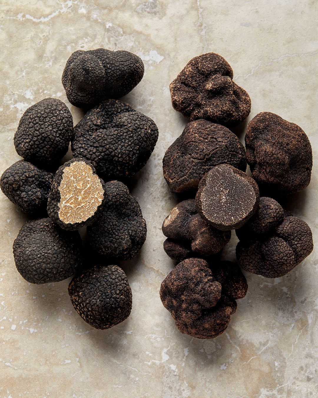 Variétés de truffes fraiche PLANTIN