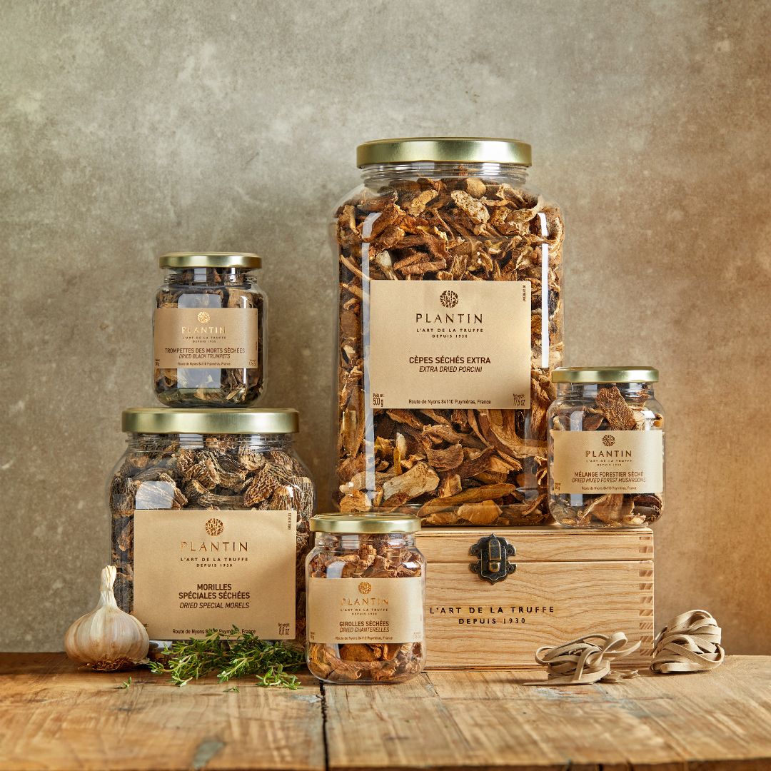 champignons séchés PLANTIN