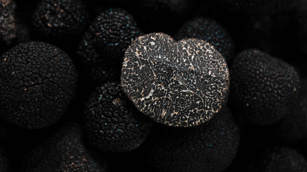Truffe noire en ligne