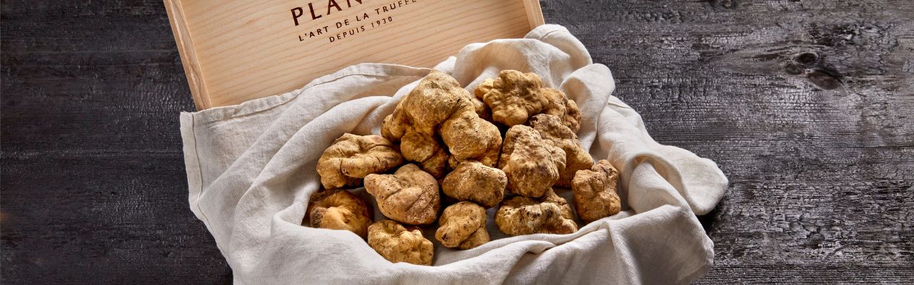 Truffe d'alba Slide background