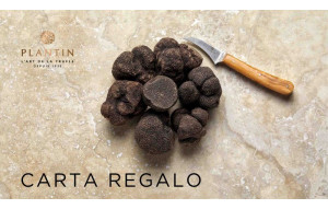 
			                        			Carta regalo