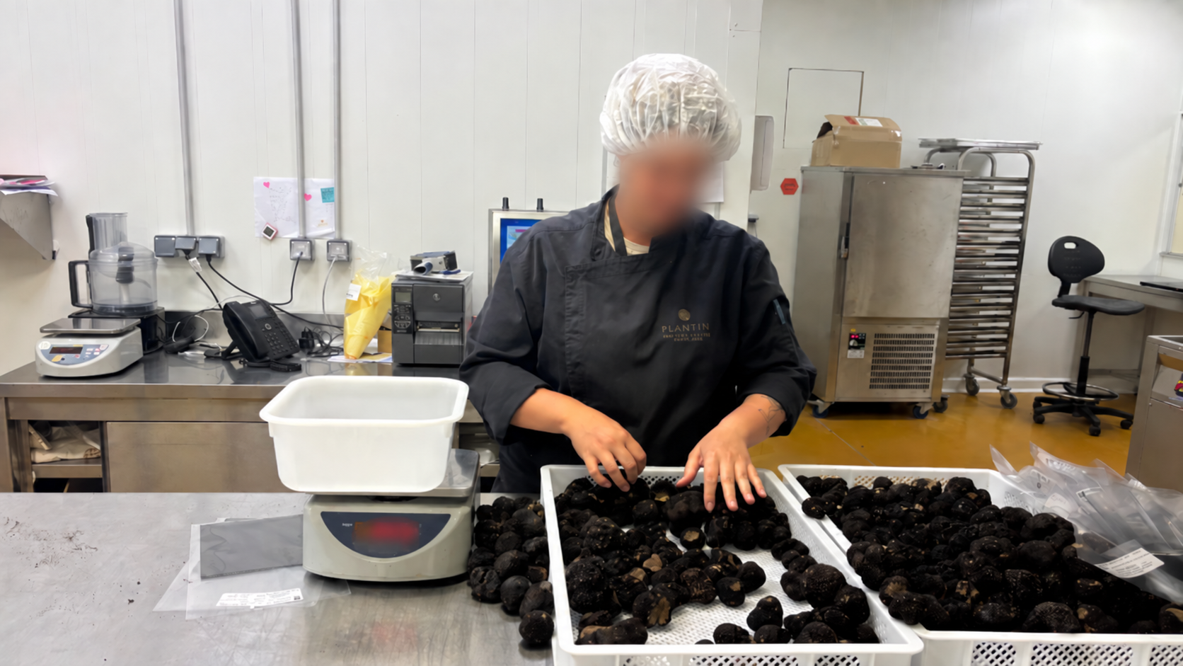 Tri manuel des truffes de Bourgogne par les équipes PLANTIN