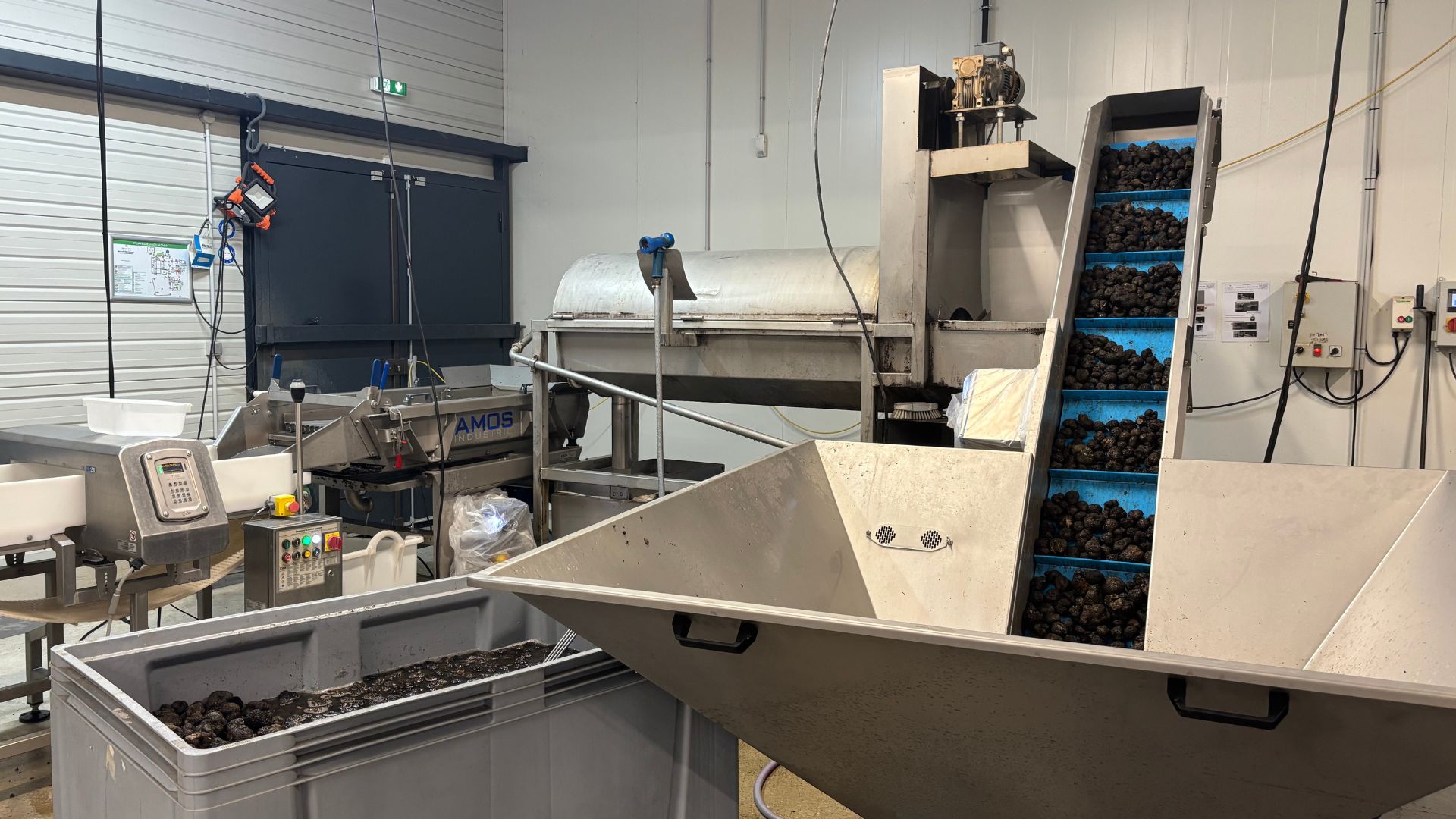 Préparation des truffes de Bourgogne dans les ateliers PLANTIN